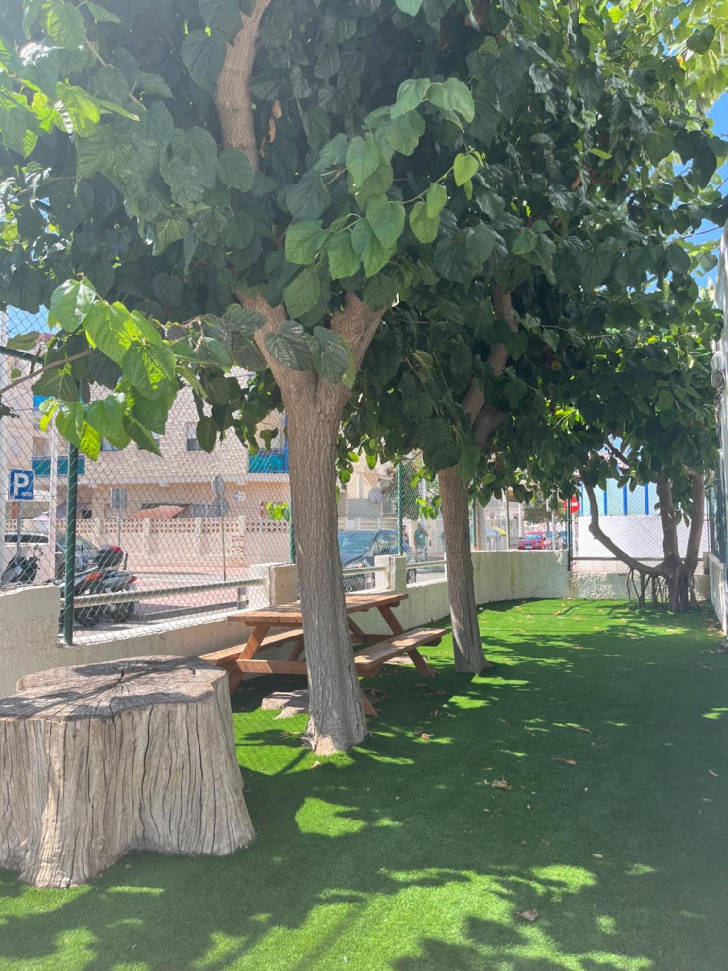 Apartamento 1ª Linea De Playa - Con Piscina Y Parking Playa de Gandia Zewnętrze zdjęcie